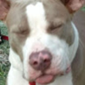 Brand new or rarely worn clothing!